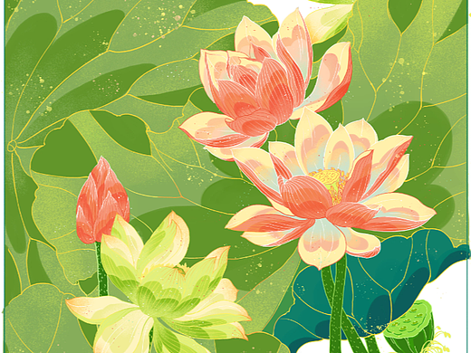 夏荷——新国风插画