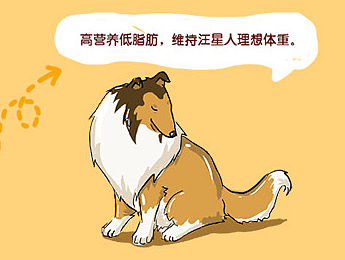 一组简单手绘的猫狗湿粮小科普（个人主页-ZMTQ5MTk2NzY=） - 艺术插画 - 站酷设计师怪兽很瘦原创素材 - 站酷ZCOOL