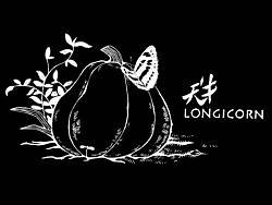 实验动画 天牛---这样一个动画也曾经是我的梦的一部分