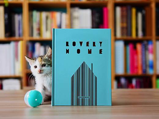 LOVELY HOME
