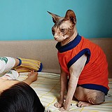 小肥婆Manta的头像