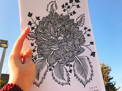 花朵黑白线描