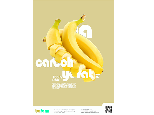 水果海報（個人主頁-ZNjQ0MzgyMjQ=） - 海報 - 站酷設(shè)計師Z946985872原創(chuàng)素材 - 站酷ZCOOL