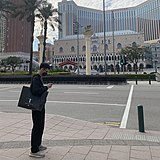 p鲜森的头像