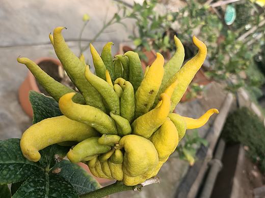 溫室（個人主頁-ZNDExOTk3NjA=） - 產(chǎn)品攝影 - 站酷設(shè)計師言吾齋原創(chuàng)素材 - 站酷ZCOOL