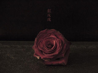 陈奕迅【红玫瑰】