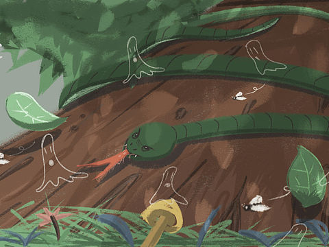 一路向北（个人主页-ZMzgzMzc4MjQ=） - 绘本 - 站酷设计师Vii未已原创素材 - 站酷ZCOOL