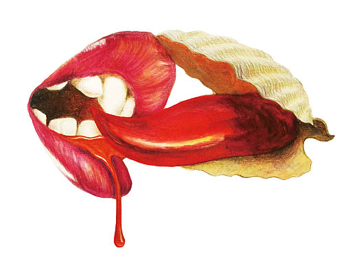 4 fois plus de piment 四倍辣餐厅vi设计