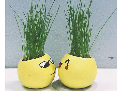 生活的风景故事