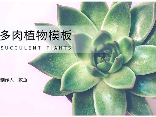 多肉植物PPT模板