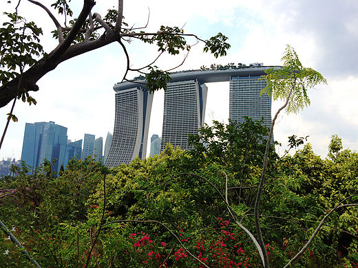 新加坡考察/2015（个人主页-ZMTU1MTUwOTI=） - 风光摄影 - 站酷设计师童浩原创素材 - 站酷ZCOOL