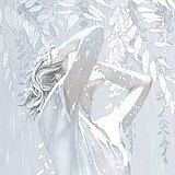 九玥先生的头像