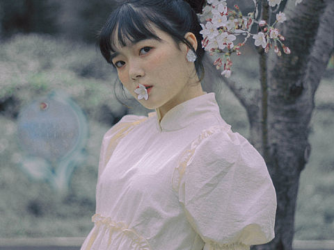 樱花下