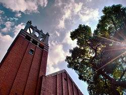 RoyWang作品 光影魔术师