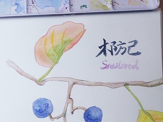 木防己（个人主页-ZMTkzMTY3Mjg=） - 其他 - 站酷设计师吴诺比qissi原创素材 - 站酷ZCOOL