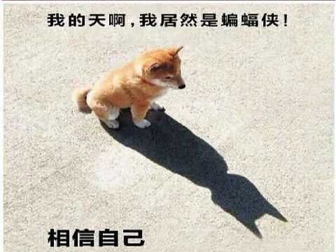 萌新的大一生活