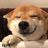 噠布莥的头像
