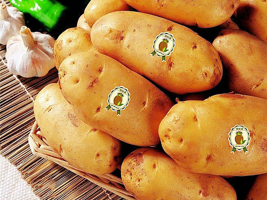 logo、icon、土豆、食品logo，绿色logo（个人主页-ZMTcxNDMxODA=） - 图标 - 站酷设计师维生素三弟原创素材 - 站酷ZCOOL