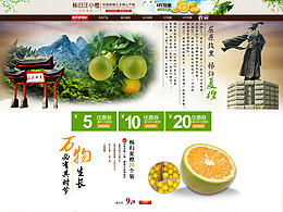 淘寶店鋪首頁橙子秭歸古風