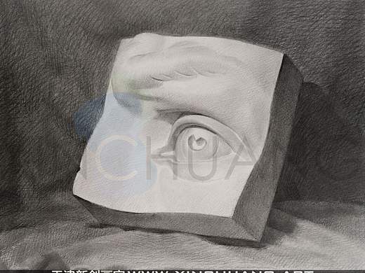 石膏像眼部写生示范