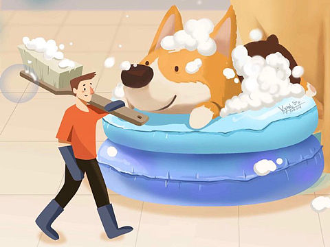 我的狗子 柯基 拉布拉多