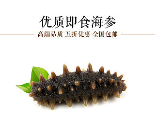 即食海参