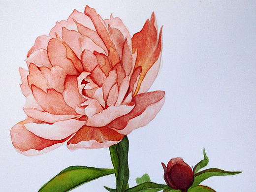 花都開好了一（個人主頁-ZMjE0NzE0NDQ=） - 藝術(shù)插畫 - 站酷設(shè)計(jì)師hexing1990原創(chuàng)素材 - 站酷ZCOOL