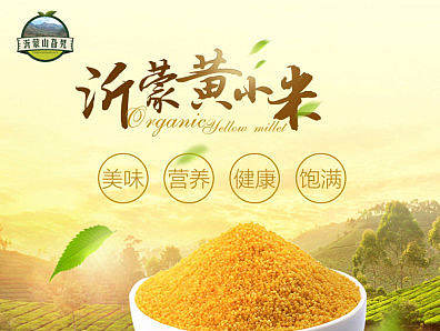 沂蒙山旮旯 黄小米详情页