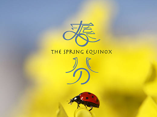 平面设计 字体设计 图标设计 海报设计  春分  盎然的季节 内心的愉悦 泉眼无声 惜细流