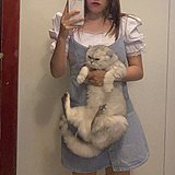 猩猩是个双子座的头像
