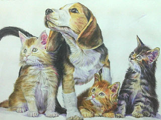原创作品:猫与狗