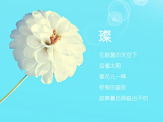 璨 主题