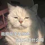 龙鑫Lacey的头像