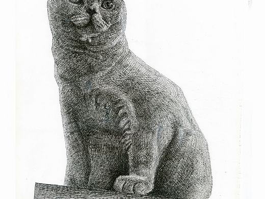 貓（個人主頁-ZMjc0NDY4MDg=） - 繪畫 - 站酷設(shè)計師思o(jì)r棄原創(chuàng)素材 - 站酷ZCOOL