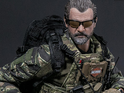 1/6 PMSCs 军事安全承包商 在 叙利亚 