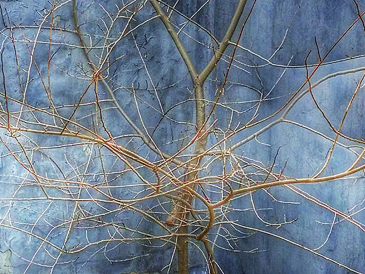 一组手机拍摄的片儿---AB的A（个人主页-ZMTY5MDE5NTI=） - 人文/纪实摄影 - 站酷设计师35KMvision原创素材 - 站酷ZCOOL