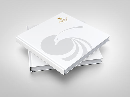 馬鞍山金鷹廣場樓書畫冊（個人主頁-ZMTczMjY0MzY=） - 書籍/畫冊 - 站酷設計師黃華原創(chuàng)素材 - 站酷ZCOOL