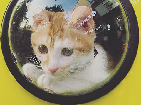 小肥宅的成長(zhǎng)記（個(gè)人主頁(yè)-ZMjk1NTgyNDg=） - 人像攝影 - 站酷設(shè)計(jì)師之非原創(chuàng)素材 - 站酷ZCOOL