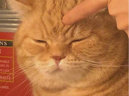 换个头像