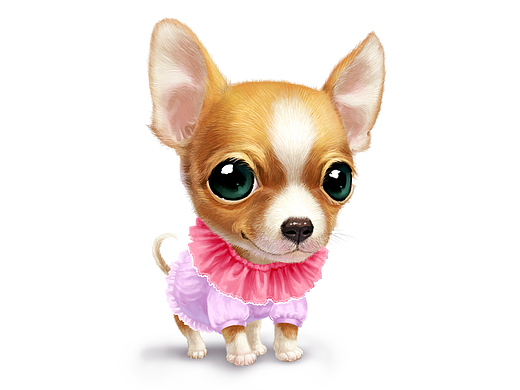 萌宠系列24--吉娃娃