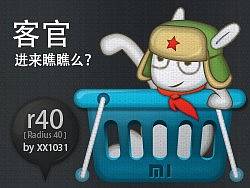 r40[半径40，格格布]