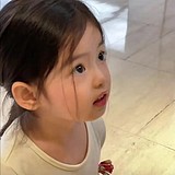白露不思春的头像