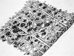 花缸插畫手繪（個人主頁-ZMTY4OTE0NA==） - 創(chuàng)作習作 - 站酷設計師無人知曉原創(chuàng)素材 - 站酷ZCOOL