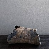 帆东絮的头像