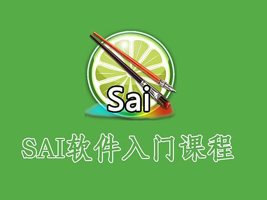 sai 软件快速入门课程