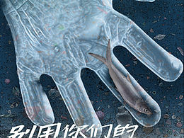 保護(hù)海洋環(huán)境