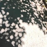 木耳金鱼的头像