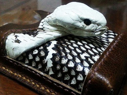 蛇皮煙殼（個人主頁-ZMTM5MzU0NTY=） - 工藝品設(shè)計 - 站酷設(shè)計師MikeYY原創(chuàng)素材 - 站酷ZCOOL