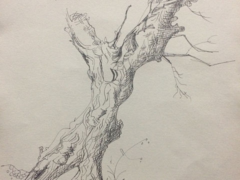 屏山寫生系列（個(gè)人主頁(yè)-ZMjgwNDUwNjg=） - 創(chuàng)作習(xí)作 - 站酷設(shè)計(jì)師小馬視圖原創(chuàng)素材 - 站酷ZCOOL