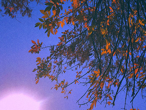 夜幕（个人主页-ZMzE1OTI4ODA=） - 人文/纪实摄影 - 站酷设计师屁话大王ayao原创素材 - 站酷ZCOOL